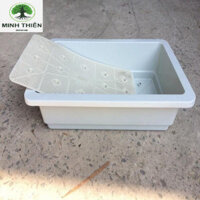 Combo 5 Chậu nhựa trồng rau cỡ lớn Khay trồng rau thế hệ mới size 67cm x 45cm x 21cm màu trắng