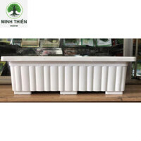 Combo 5 Chậu nhựa trồng Rau thông minh 63x22x19cm