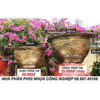 Combo 5 chậu tròn , Chậu trồng cây nhựa giả đồng cổ điển