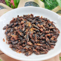 Combo 5 Gói Dế Sữa Rang Muối Món Ăn Liền Không Cần Chế Biến Có Vị Bùi Béo Ngậy Đặc Trưng Của Dế Sữa