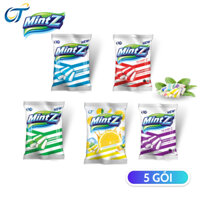 Combo 5 gói kẹo mềm bạc hà Mintz (5 vị Bạc hà Á, Âu, Cherry, Nho và chanh muối) - 50 viên/gói