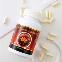 COMBO 5 Hộp Đông trùng hạ thảo WELLNESS NUTRITION CORDICEP NATURE GIFT (30v/hộp)