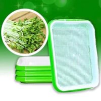 Combo 5 khay nhựa trồng rau mầm thủy canh+ 1kg hạt giống mầm lúa mạch (cỏ lúa mỳ) chất lượng cao, giàu dinh dưỡng ....