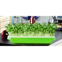 COMBO 5 KHAY NHỰA TRỒNG RAU MẦM - DỄ SỬ DỤNG, CHẤT LƯỢNG TỐT SIÊU BỀN VÀ ĐẸP