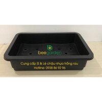 COMBO 5 KHAY TRỒNG RAU KÍCH THƯỚC LỚN