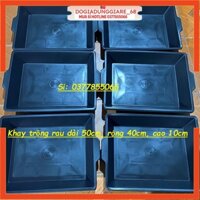 COMBO 5 Khay Trồng Rau Sạch dài 50cm xrộng 40cm x cao 10cm, Máng trồng rau bằng nhựa dẻo dai,độ sâu tiết kệm đất trồng