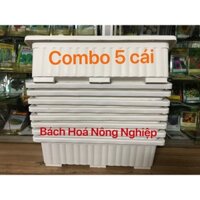 Combo 5 khay trồng rau thông minh ( now + grab )