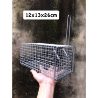 Combo 5 Lồng bẫy chuột,sóc,kỳ nhông 12x13x26cm chì chống rỉ.