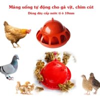 Combo 5 Máng uống tự động cho gà vịt chim lúc úm