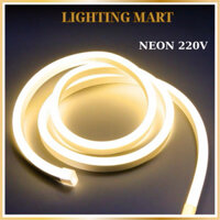 Combo 5 Mét 10 Mét Dây Led Neon 220V (Đã gồm nguồn), dây led hắt trần, quấn cây trang trí