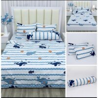 Combo 5 món chăn hè ga gối cotton poly , chọn mẫu cá voi trắng KHOSIGAGOIHCM