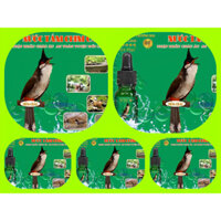 COMBO 5 NƯỚC TẮM CHUYÊN DỤNG CHO CHIM CẢNH ( NHẬP KHẨU CHÂU ÂU )