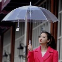 Combo 5 ô dù trong suốt