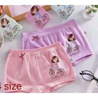 COMBO 5 QUẦN CHIP ĐÙI BÉ GÁI 12 đến 35 ký