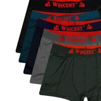 Combo 5 quần đùi nam hiệu wicent 909