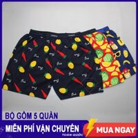 COMBO 5 Quần Đùi Nam Lưng Xì - Quần Ngủ Nam - Mặc nhà - Mẫu Họa tiết