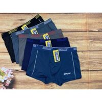 COMBO 5 QUẦN ĐÙI NAM THUN LẠNH MENLIVE - XL