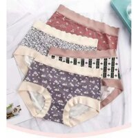Combo 5 quần lót nữ cotton lụa big size lưng cao họa tiết 6115