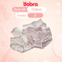 Combo 5 quần lót nữ cotton màu tím pastel nhẹ nhàng - Set 5 quần lót viền ren quyến rũ L110