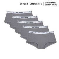 Combo 5 Quần Lót Nữ Cotton Thiên Nhiên BeingMe Miley Lingerie - Màu Xám Nhạt - m