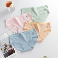 ComBo 5 Quần Lót Nữ Cotton  FREESHIP  Quần Lót Cao Cấp Cạp Sọc Xuất Nhật Q170
