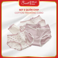 Combo 5 Quần lót nữ màu tím xinh xắn, Set 5 Quần lót cotton không lộ viền SAVILL L110