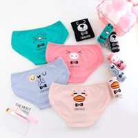 Combo 5 Quần Lot Quần Chip Đồ Lot Cotton Nữ Hoạt Hình