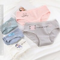 Combo 5 Quần Lot Quần Chip Đồ Lot Cotton Nữ Pastel