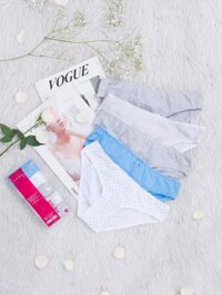 Combo 5 quần lót VERA cotton 4 chiều thun ren - 0310