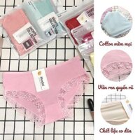 Combo 5 Quần lót viền ren cao cấp - Quần lót nữ