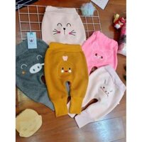 Combo 5 Quần nỉ bông