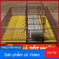 COMBO 5 SÀN NHỰA LÓT CHUỒNG-TẤM LÓT SÀN-SÀN NHỰA CHUỒNG CHÓ
