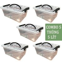 [COMBO 5 THÙNG] Thùng Nhựa 5000ml (5 lít) Trong Suốt Đựng Đồ Đa Năng có Quai Xách - Kích thước : 28 cm - 20 cm - 14.5 cm
