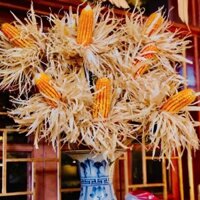 ComBo 5 Trái bắp hoa ngô khô dùng để decor chụp hình trang trí tiểu cảnh đồng quê, trái to đều hạt