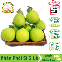 Combo 5 Trái Bưởi Trung Giả (12x12 cm) Giống Thật 99% - Trang trí, Decor, Chụp Ảnh