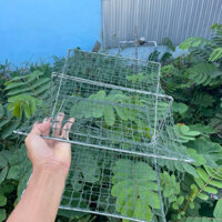 Combo 5 và 10 lồng rập bẫy cua Biển cỡ 40cm 60cm nặng 7kg, móc gài và móc mồi inox