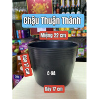 Combo 50 Cái Chậu Nhựa Mềm Thuận Thành Trồng Cây - Mẫu C9A
