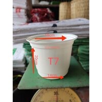 Combo 50 Chậu Nhựa Trắng Mỏng Trồng Cây