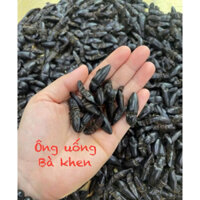 Combo 50 con bổ Củi khô