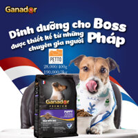 Combo 50 gói Ganador puppy milk with dha 400g thức ăn cho chó con hạt khô vị sữa và dha sản xuất tại Việt nam