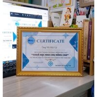 Combo 50 Khung Bằng Khen A4 (mẫu mới) "Hạt Dẻ vàng  "mặt phim nhựa