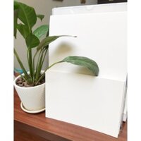 Combo 50 tờ tặng 08 tờ khổ A4 giấy vẽ màu arcylic, màu sáp màu chì.... định lượng 300gms