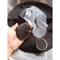 COMBO 500gram Hạt thanh long mới làm
