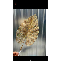 combo 50c lá mít vàng giá sỉ