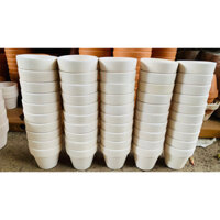 Combo 50c size đất nung trồng sen đá sương rồng thoát nước tốt