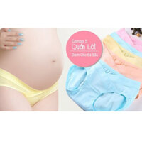 Combo 5c quần lót bà bầu túi zip loại đep