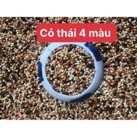 COMBO 5Kg Cỏ Thái 4 màu dành cho Cu gáy , vẹt , yến phụng
