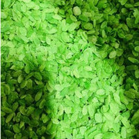 Combo 5kg Cốm dẹp xanh làm chả,chiên tôm,làm bánh, nấu xôi,kem...