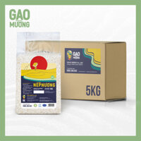 Combo 5Kg Gạo Nếp nương Điện Biên nếp mới xát đóng túi chân không