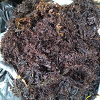 [Combo 5kg] Rong biển đen nấu nước sâm ngon